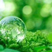 ヒメ日記 2025/07/25 18:24 投稿 堺あき TSUBAKI（水戸）