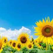 ヒメ日記 2025/07/29 12:39 投稿 堺あき TSUBAKI（水戸）