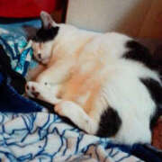 ヒメ日記 2025/07/30 18:05 投稿 堺あき TSUBAKI（水戸）