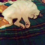 ヒメ日記 2026/03/09 22:45 投稿 堺あき TSUBAKI（水戸）