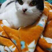 ヒメ日記 2026/03/19 07:06 投稿 堺あき TSUBAKI（水戸）