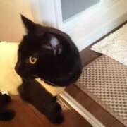 ヒメ日記 2026/03/22 09:55 投稿 堺あき TSUBAKI（水戸）