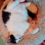 ヒメ日記 2026/03/23 10:30 投稿 堺あき TSUBAKI（水戸）