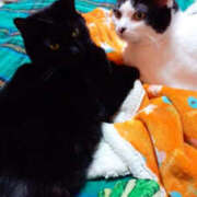 ヒメ日記 2026/03/29 10:31 投稿 堺あき TSUBAKI（水戸）