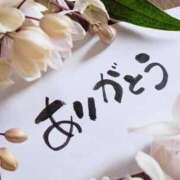 ヒメ日記 2026/04/10 19:05 投稿 堺あき TSUBAKI（水戸）