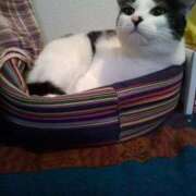 堺あき 🐸出勤しました🐸 TSUBAKI（水戸）