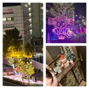 ヒメ日記 2024/12/13 16:35 投稿 藤崎ちさと TSUBAKI（水戸）