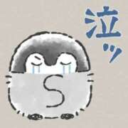 ヒメ日記 2024/12/21 20:00 投稿 藤崎ちさと TSUBAKI（水戸）