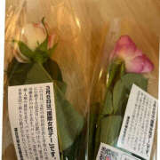 ヒメ日記 2025/03/08 19:21 投稿 藤崎ちさと TSUBAKI（水戸）