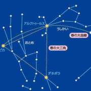 ヒメ日記 2025/03/21 20:45 投稿 藤崎ちさと TSUBAKI（水戸）
