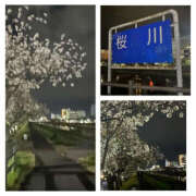 ヒメ日記 2025/04/18 17:00 投稿 藤崎ちさと TSUBAKI（水戸）