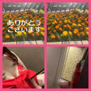 ヒメ日記 2025/04/19 14:15 投稿 藤崎ちさと TSUBAKI（水戸）