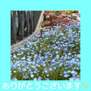 ヒメ日記 2025/05/08 16:34 投稿 藤崎ちさと TSUBAKI（水戸）