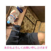 ヒメ日記 2025/05/17 20:00 投稿 藤崎ちさと TSUBAKI（水戸）