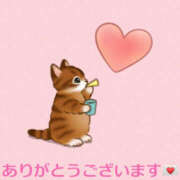 ヒメ日記 2025/07/03 22:03 投稿 藤崎ちさと TSUBAKI（水戸）