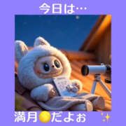 ヒメ日記 2025/07/11 20:00 投稿 藤崎ちさと TSUBAKI（水戸）