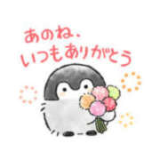 ヒメ日記 2025/09/23 16:43 投稿 藤崎ちさと TSUBAKI（水戸）