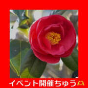 ヒメ日記 2025/11/05 19:21 投稿 藤崎ちさと TSUBAKI（水戸）