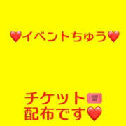 ヒメ日記 2025/11/19 20:00 投稿 藤崎ちさと TSUBAKI（水戸）