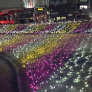 ヒメ日記 2025/12/17 17:10 投稿 藤崎ちさと TSUBAKI（水戸）