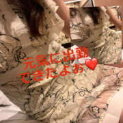 ヒメ日記 2026/01/24 16:12 投稿 藤崎ちさと TSUBAKI（水戸）