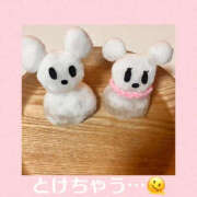 ヒメ日記 2026/02/08 13:40 投稿 藤崎ちさと TSUBAKI（水戸）