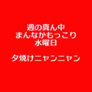 ヒメ日記 2026/02/11 19:21 投稿 藤崎ちさと TSUBAKI（水戸）