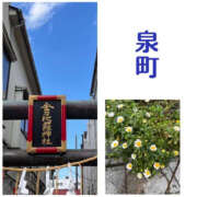 ヒメ日記 2026/03/12 15:51 投稿 藤崎ちさと TSUBAKI（水戸）