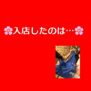 ヒメ日記 2026/04/07 17:48 投稿 藤崎ちさと TSUBAKI（水戸）