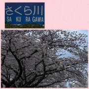 ヒメ日記 2026/04/08 16:48 投稿 藤崎ちさと TSUBAKI（水戸）