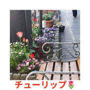 ヒメ日記 2026/04/12 16:45 投稿 藤崎ちさと TSUBAKI（水戸）