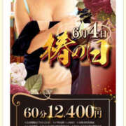 ヒメ日記 2025/06/04 13:19 投稿 磯山瞳 TSUBAKI（水戸）