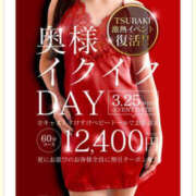 ヒメ日記 2026/03/25 11:11 投稿 磯山瞳 TSUBAKI（水戸）