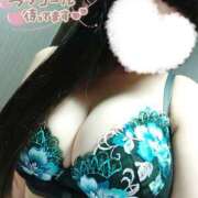 ヒメ日記 2025/02/11 15:16 投稿 リリ スチュワーデス