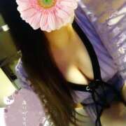 ヒメ日記 2025/03/13 12:04 投稿 リリ スチュワーデス