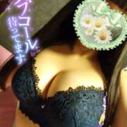 ヒメ日記 2025/04/16 20:16 投稿 リリ スチュワーデス