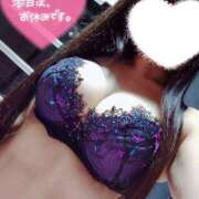 ヒメ日記 2025/12/12 06:06 投稿 リリ スチュワーデス