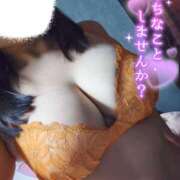 ヒメ日記 2026/01/10 19:54 投稿 リリ スチュワーデス