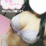 ヒメ日記 2026/01/30 15:03 投稿 リリ スチュワーデス