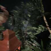 ヒメ日記 2025/05/29 22:05 投稿 ルイ 谷町人妻ゴールデン倶楽部