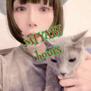 ヒメ日記 2024/12/14 08:55 投稿 雅 谷町人妻ゴールデン倶楽部