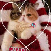 ヒメ日記 2024/12/27 04:55 投稿 雅 谷町人妻ゴールデン倶楽部