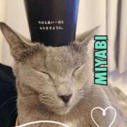 ヒメ日記 2025/04/16 04:00 投稿 雅 谷町人妻ゴールデン倶楽部