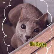 ヒメ日記 2025/04/20 22:40 投稿 雅 谷町人妻ゴールデン倶楽部