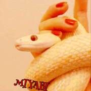 ヒメ日記 2025/05/16 04:00 投稿 雅 谷町人妻ゴールデン倶楽部