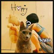 ヒメ日記 2025/06/11 05:40 投稿 雅 谷町人妻ゴールデン倶楽部