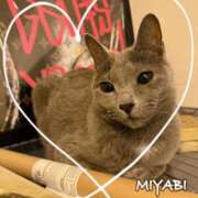 ヒメ日記 2025/10/02 04:00 投稿 雅 谷町人妻ゴールデン倶楽部