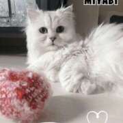 ヒメ日記 2025/10/10 04:00 投稿 雅 谷町人妻ゴールデン倶楽部