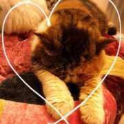 ヒメ日記 2025/11/05 05:40 投稿 雅 谷町人妻ゴールデン倶楽部