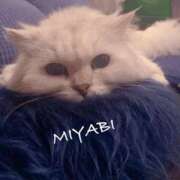 ヒメ日記 2025/11/16 05:40 投稿 雅 谷町人妻ゴールデン倶楽部